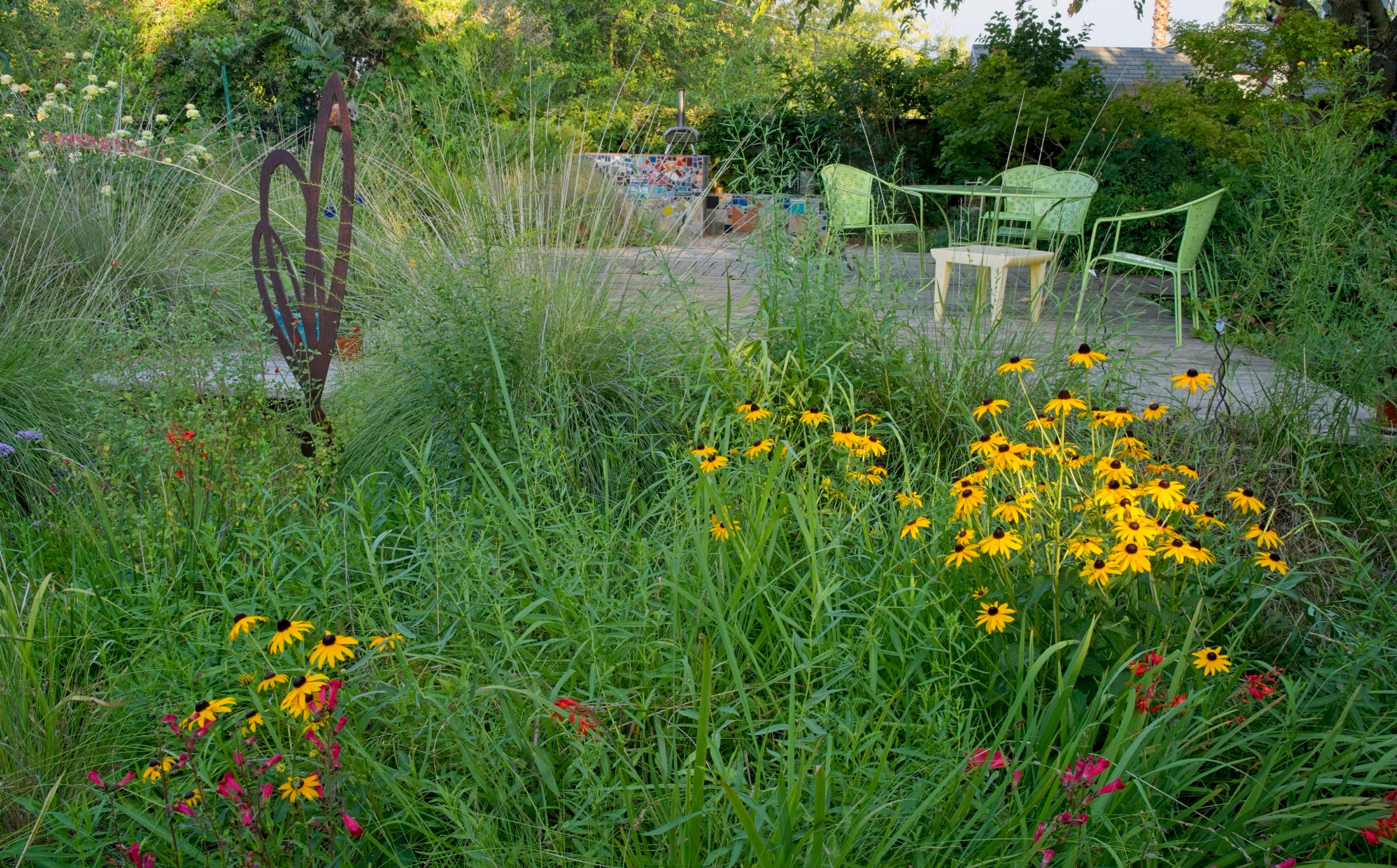 This meadow is full of pollinator plants, functioning as a rain garden infiltration point in winter. Deck and mosaic kitchen area behind. 